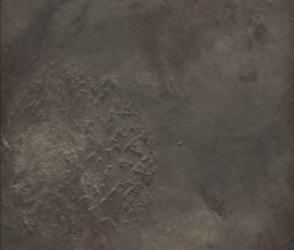 NO_ART_733