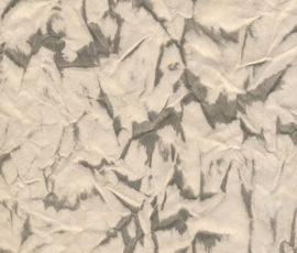 NO_ART_749