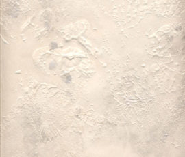 NO_ART_750