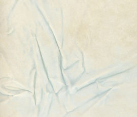 NO_ART_757