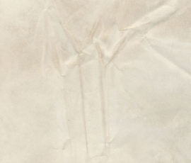 NO_ART_761